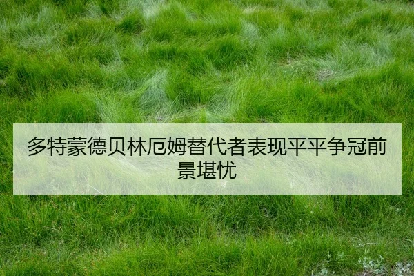 duo-te-meng-de-bei-lin-e-mu-ti-dai-zhe-biao-xian-ping-ping-zheng-guan-qian-jing-kan-you-2-536.jpg