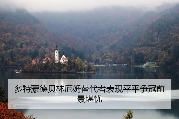 duo-te-meng-de-bei-lin-e-mu-ti-dai-zhe-biao-xian-ping-ping-zheng-guan-qian-jing-kan-you-3-129.jpg