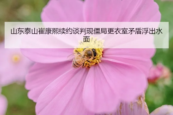 shan-dong-tai-shan-cui-kang-xi-xu-yue-tan-pan-xian-jiang-ju-geng-yi-shi-mao-dun-fu-chu-shui-mian-3-221.jpg