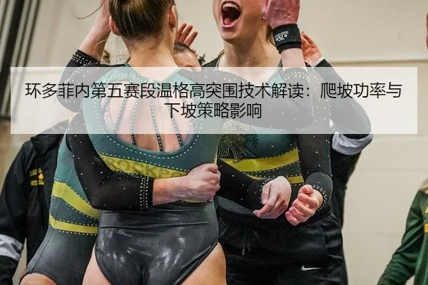 环多菲内第五赛段温格高突围技术解读：爬坡功率与下坡策略影响