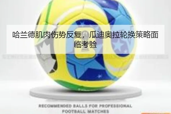 ha-lan-de-ji-rou-shang-shi-fan-fu-gua-di-ao-la-lun-huan-ce-lve-mian-lin-kao-yan-2-521.jpg