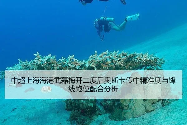 中超上海海港武磊梅开二度后奥斯卡传中精准度与锋线跑位配合分析