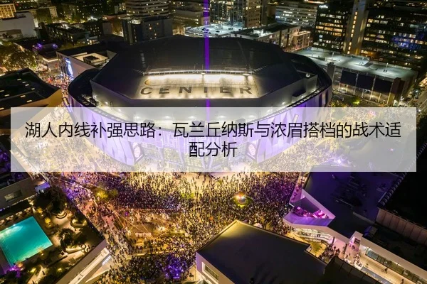 湖人内线补强思路：瓦兰丘纳斯与浓眉搭档的战术适配分析
